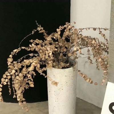 兽设四季场景设计FurryQQ群